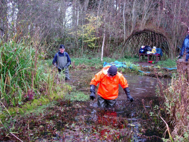 Cleaning the Harlaw Pond