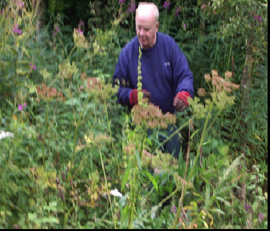 Bob at work in the Harlaw Garden